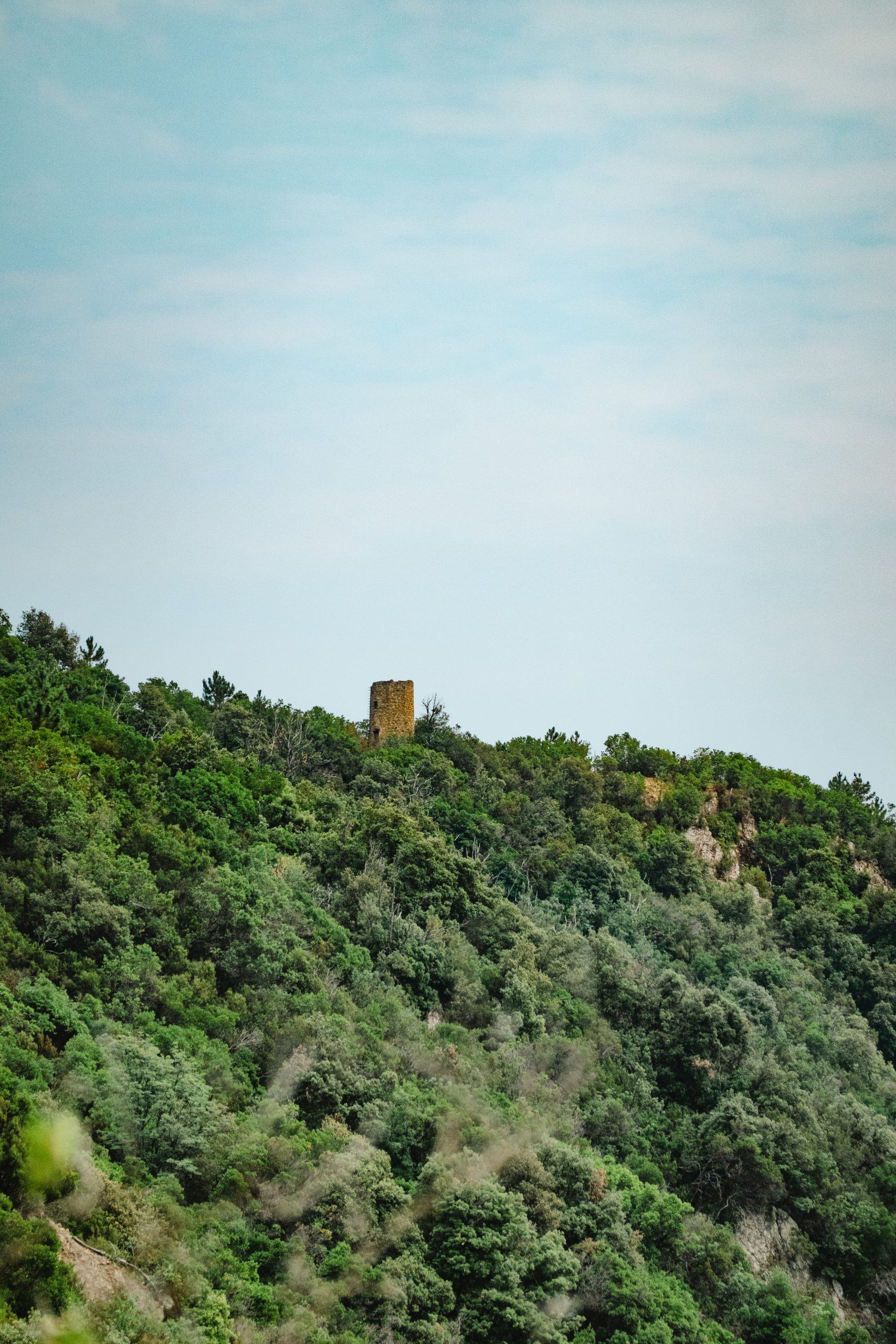 Immagini dell'experience